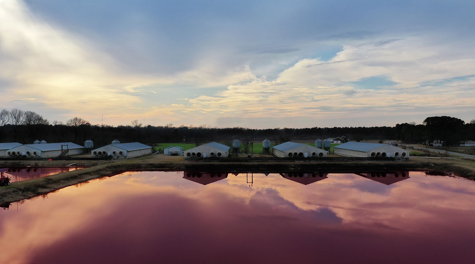 view of a pig farm at dusk